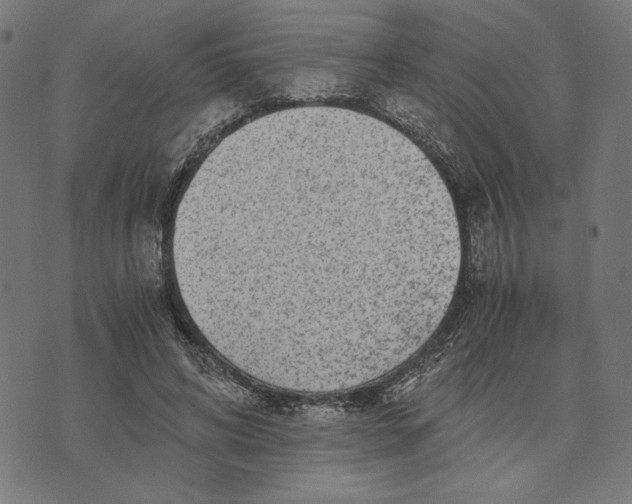 X0000073530592200608211832