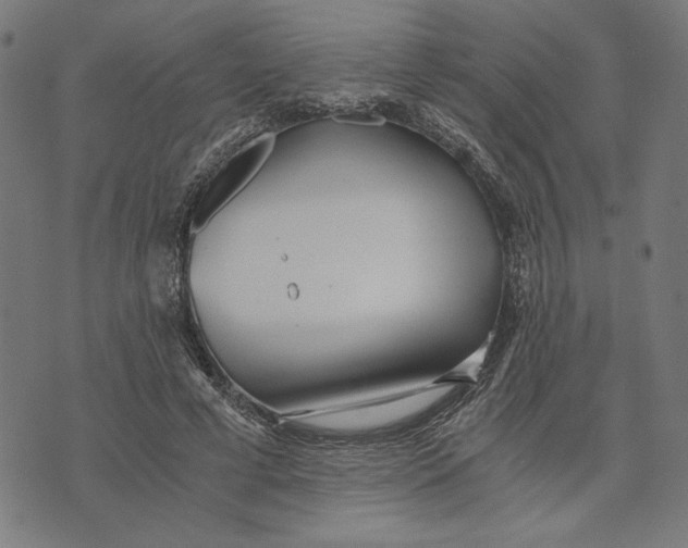 X0000073530593200608211832