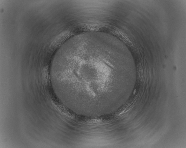 X0000073530594200608211832