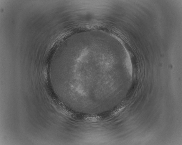 X0000073530595200608211832