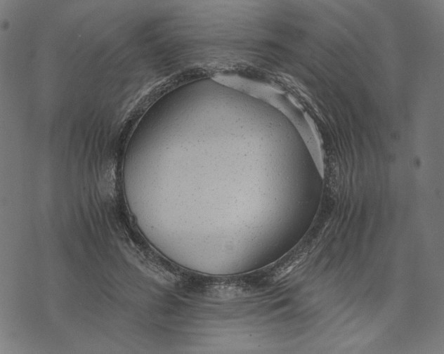 X0000073530596200608211832