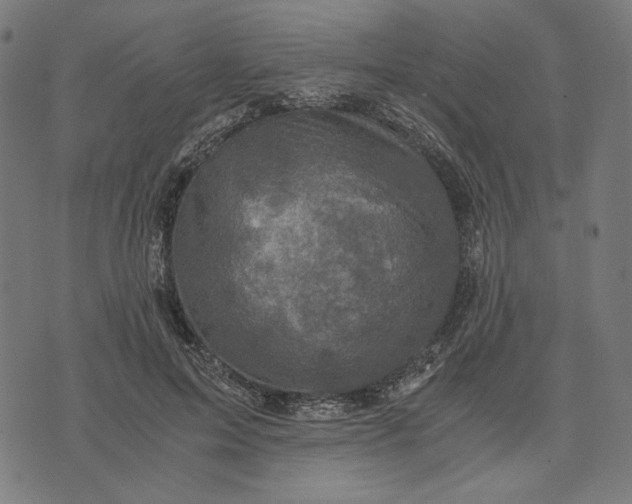 X0000073530599200608211832