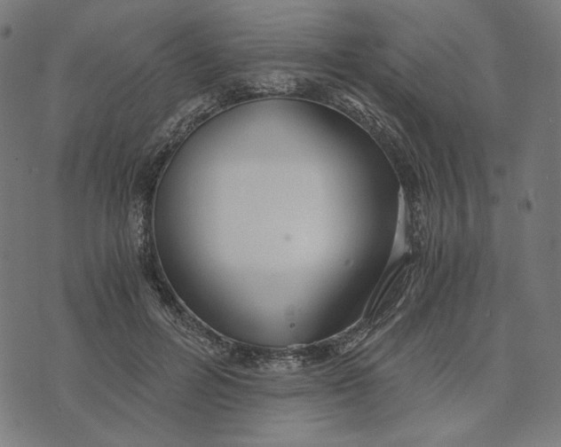 X0000073530600200608211832