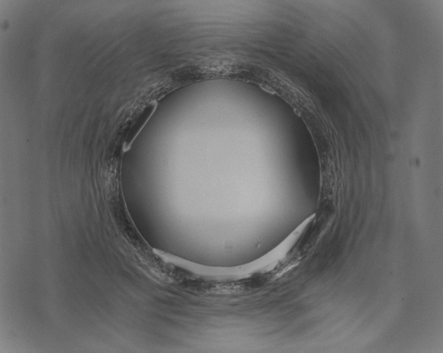 X0000073530601200608211832