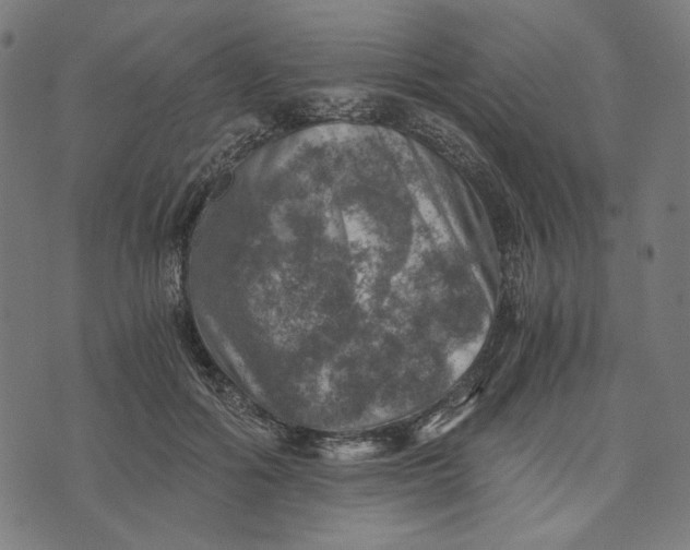 X0000073530602200608211832