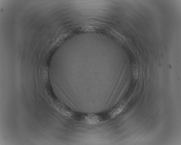 X0000073530603200608211832