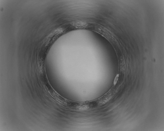 X0000073530604200608211831