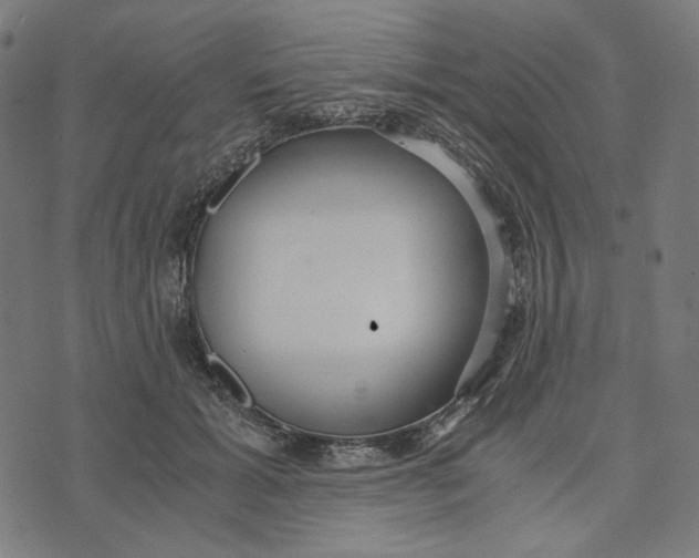 X0000073530605200608211831