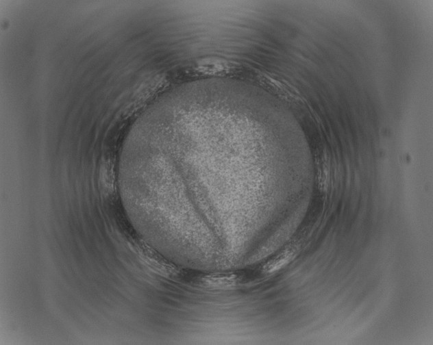 X0000073530606200608211831