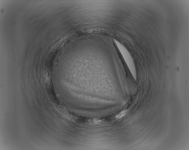 X0000073530607200608211831