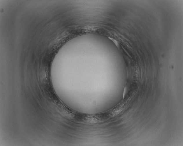 X0000073530608200608211831