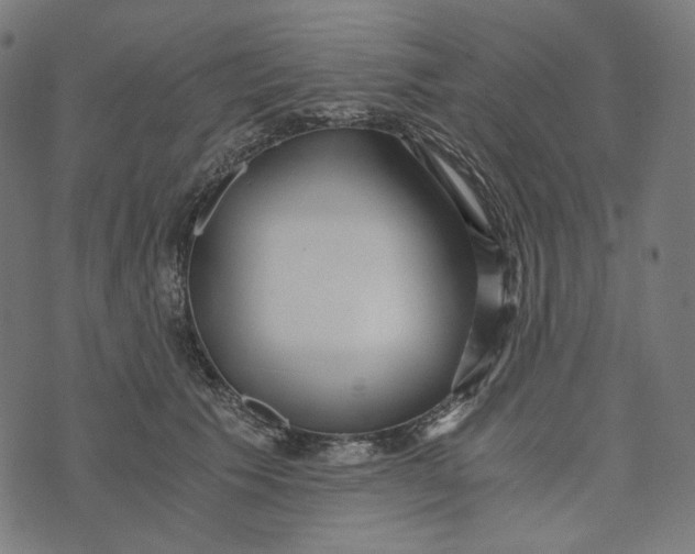 X0000073530609200608211831