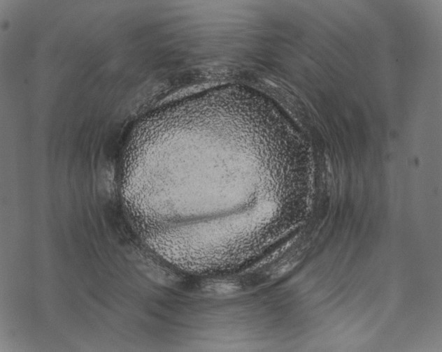 X0000073530610200608211831