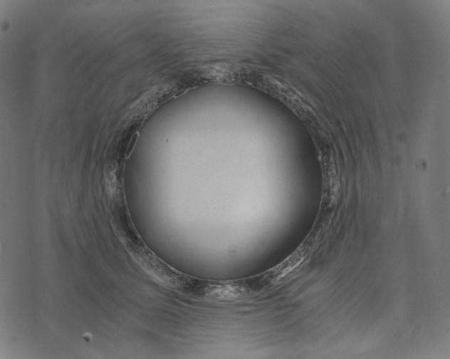 X0000073530611200608211831