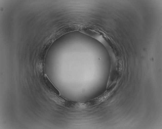 X0000073530613200608211831