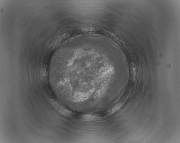 X0000073530614200608211831