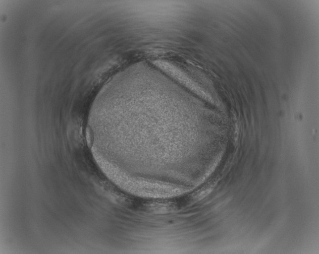 X0000073530615200608211831