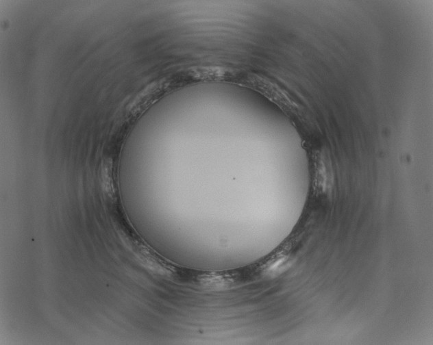 X0000073530616200608211831