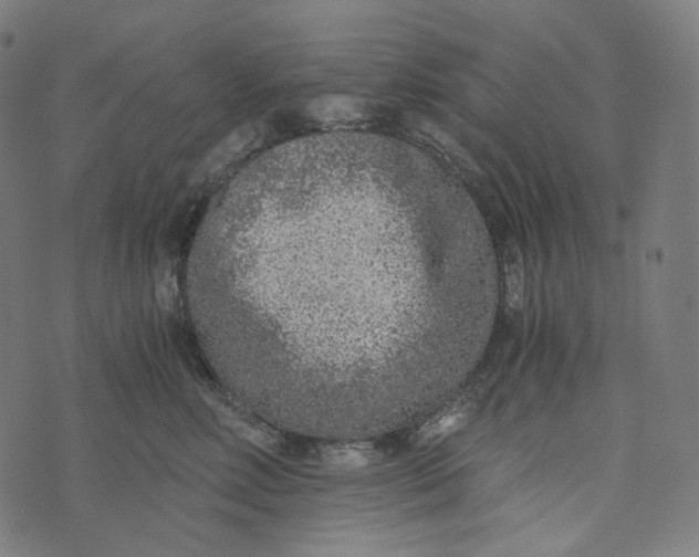 X0000073530618200608211831