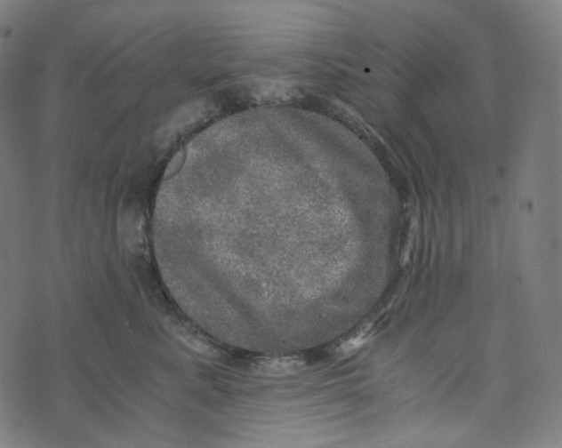 X0000073530619200608211831