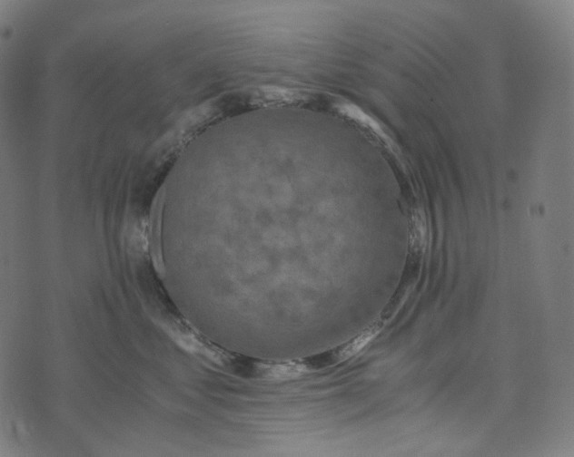 X0000073530621200608211831