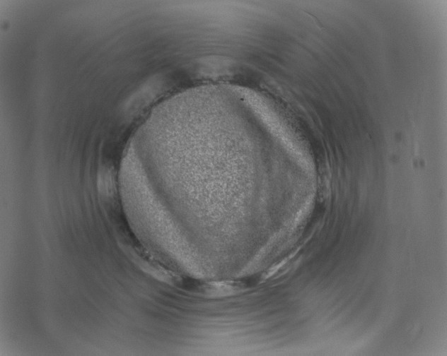 X0000073530623200608211831