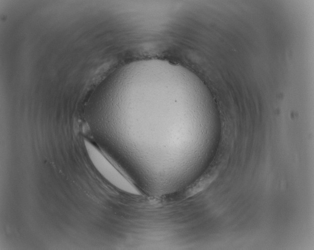 X0000073530624200608211831