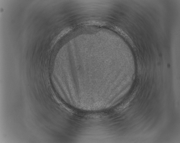 X0000073530625200608211830