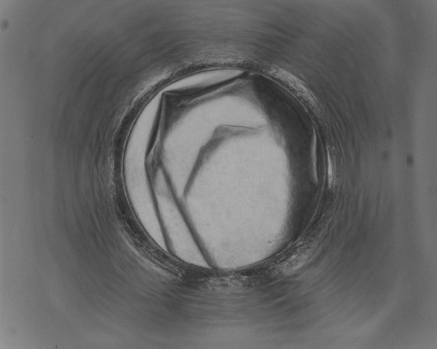 X0000073530627200608211830