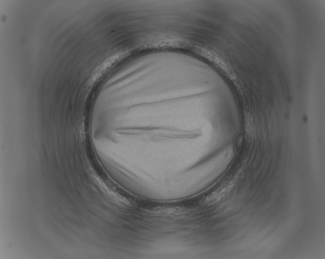 X0000073530629200608211830