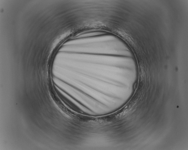 X0000073530630200608211830