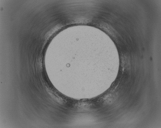 X0000073530632200608211830