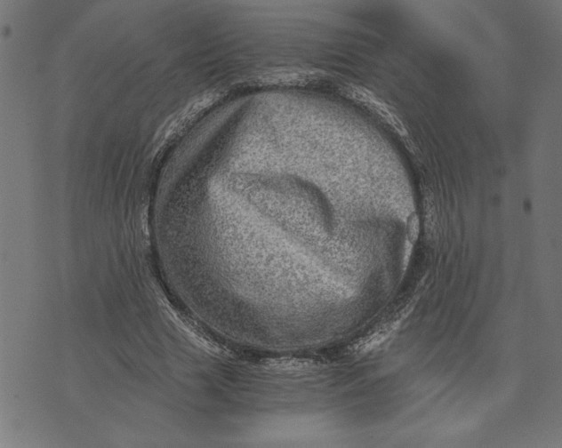 X0000073530633200608211831