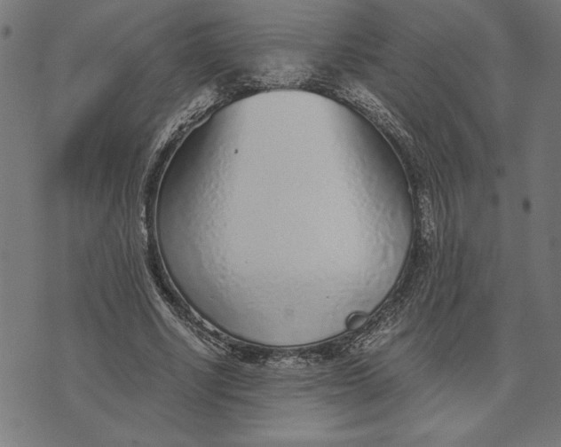 X0000073530634200608211831