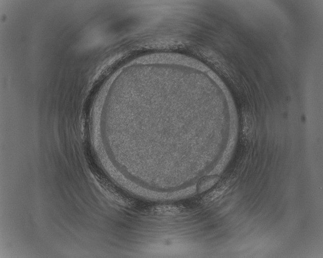 X0000073530636200608211831