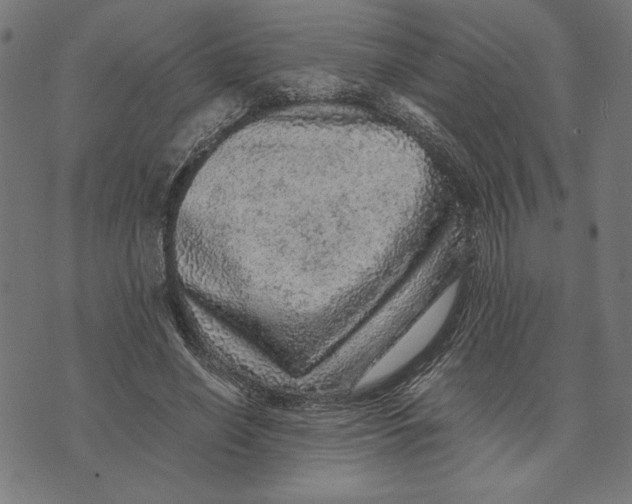 X0000073530638200608211831