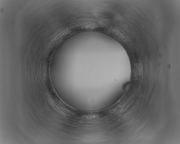 X0000073530639200608211831