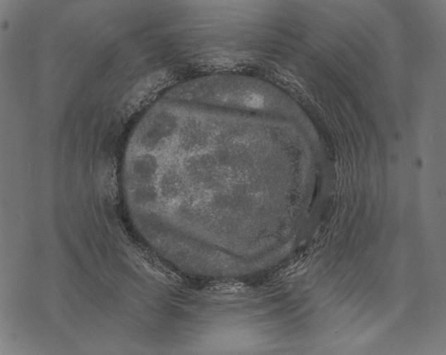 X0000073530642200608211831