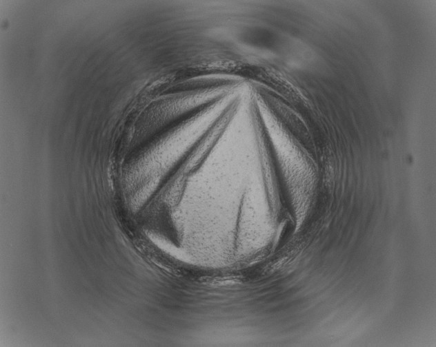 X0000073530643200608211831