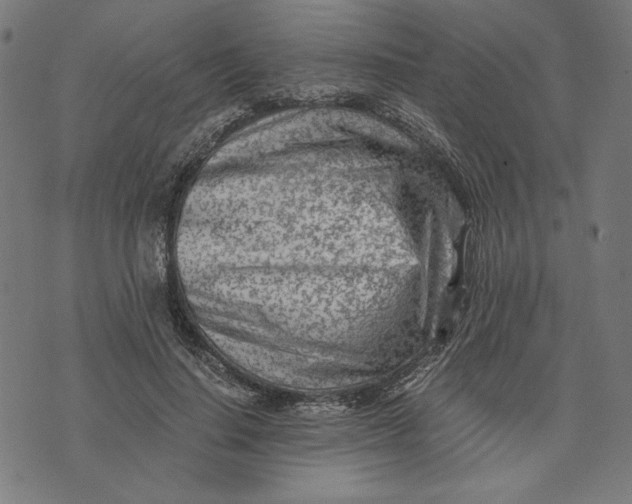 X0000073530644200608211831