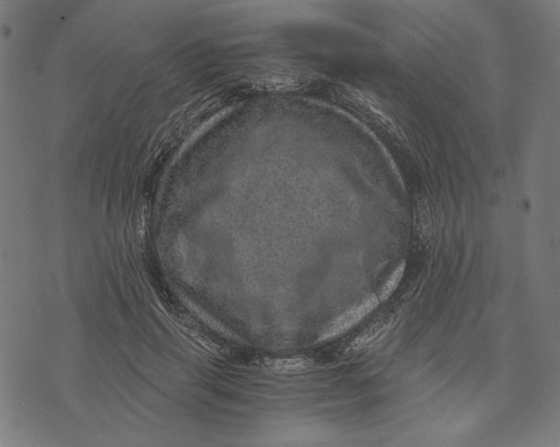 X0000073530645200608211831