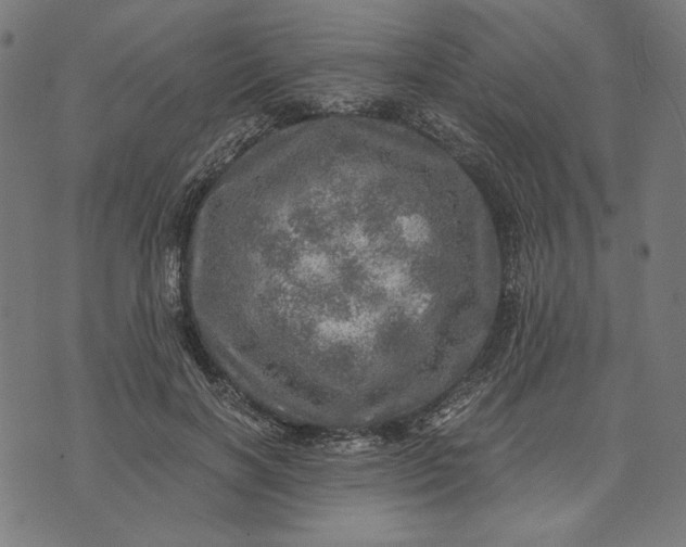 X0000073530646200608211831