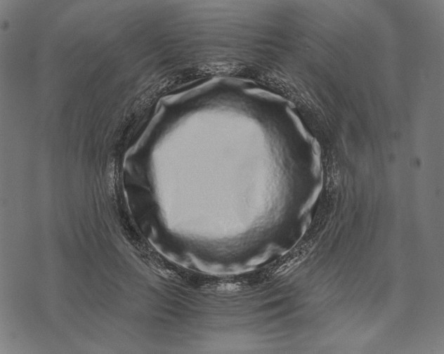 X0000073530647200608211831