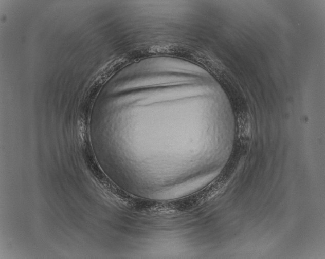 X0000073530648200608211831