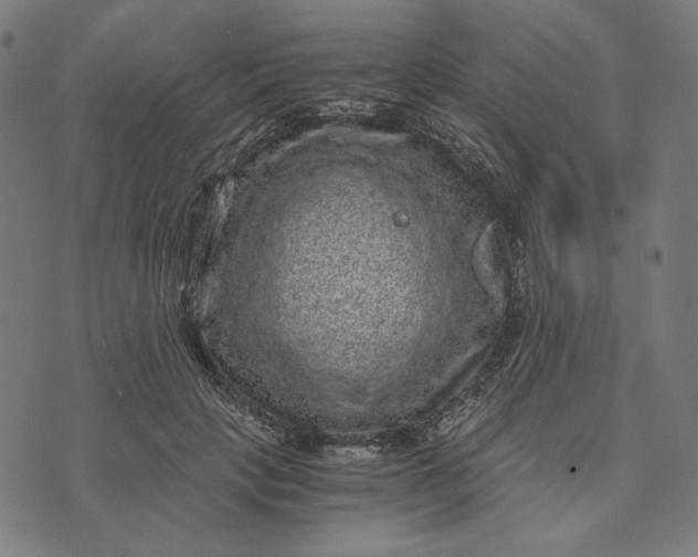 X0000073530649200608211831