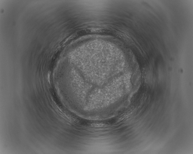 X0000073530650200608211831