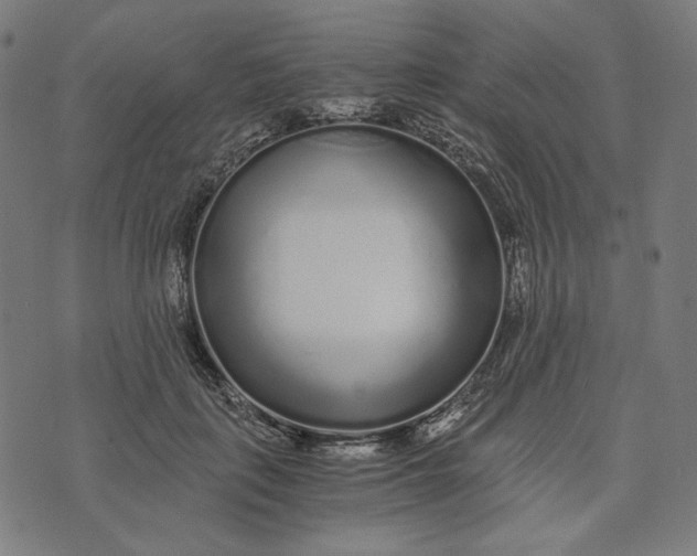 X0000073530651200608211831