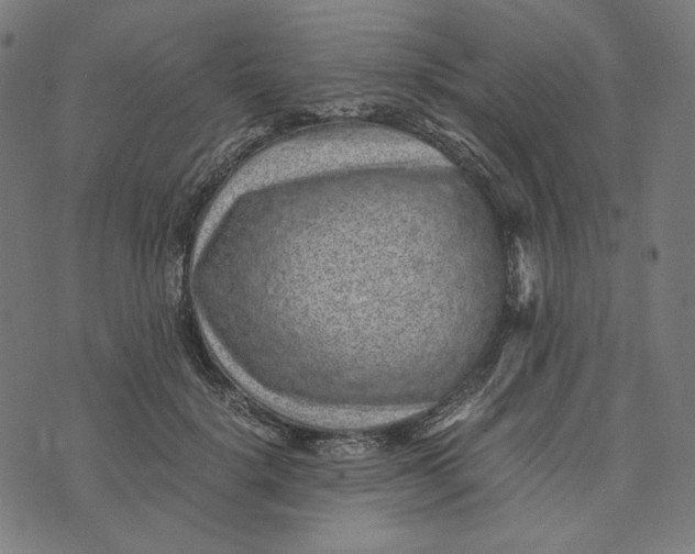 X0000073530652200608211831