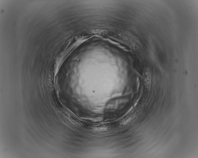 X0000073530653200608211831