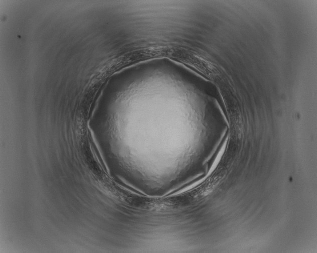 X0000073530654200608211831